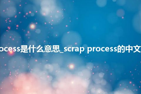scrap process是什么意思_scrap process的中文意思_用法