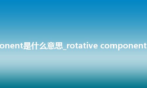 rotative component是什么意思_rotative component的中文意思_用法