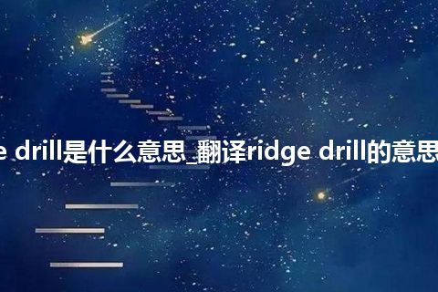 ridge drill是什么意思_翻译ridge drill的意思_用法