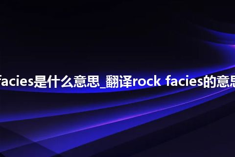 rock facies是什么意思_翻译rock facies的意思_用法