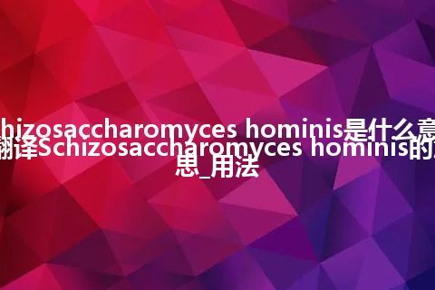 Schizosaccharomyces hominis是什么意思_翻译Schizosaccharomyces hominis的意思_用法