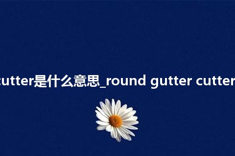 round gutter cutter是什么意思_round gutter cutter的中文意思_用法
