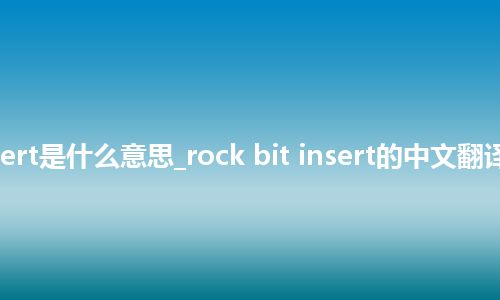 rock bit insert是什么意思_rock bit insert的中文翻译及音标_用法