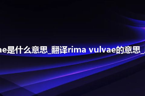 rima vulvae是什么意思_翻译rima vulvae的意思_用法_同义词