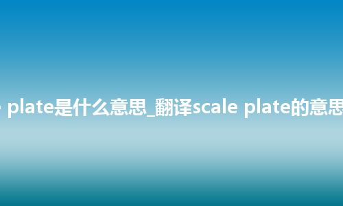 scale plate是什么意思_翻译scale plate的意思_用法