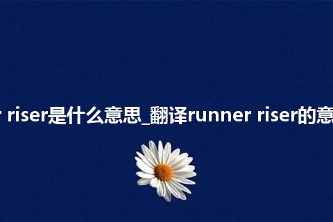 runner riser是什么意思_翻译runner riser的意思_用法
