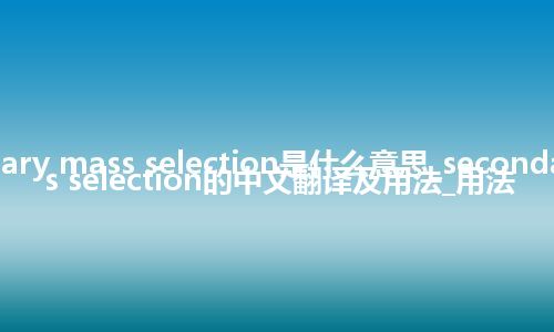 secondary mass selection是什么意思_secondary mass selection的中文翻译及用法_用法