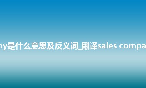 sales company是什么意思及反义词_翻译sales company的意思_用法