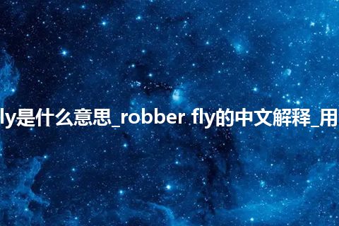 robber fly是什么意思_robber fly的中文解释_用法_同义词