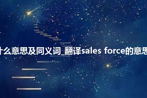 sales force什么意思及同义词_翻译sales force的意思_用法_同义词