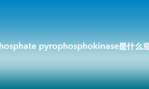 ribose-5-phosphate pyrophosphokinase是什么意思_中文意思