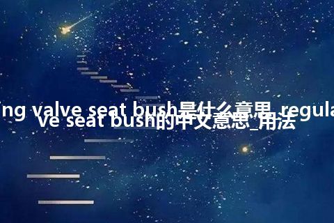 regulating valve seat bush是什么意思_regulating valve seat bush的中文意思_用法