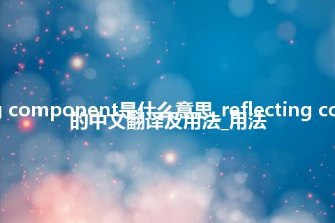 reflecting component是什么意思_reflecting component的中文翻译及用法_用法