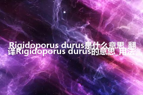 Rigidoporus durus是什么意思_翻译Rigidoporus durus的意思_用法