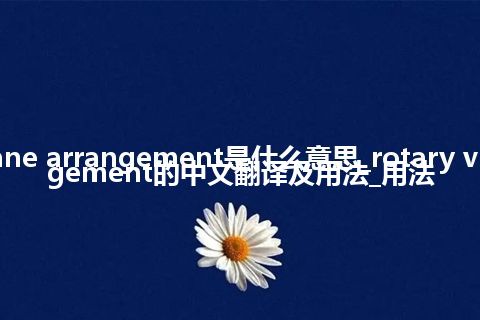 rotary vane arrangement是什么意思_rotary vane arrangement的中文翻译及用法_用法