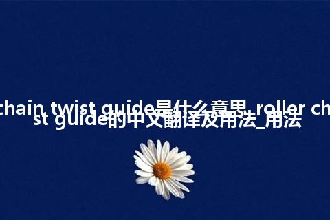 roller chain twist guide是什么意思_roller chain twist guide的中文翻译及用法_用法