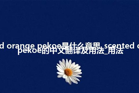 scented orange pekoe是什么意思_scented orange pekoe的中文翻译及用法_用法