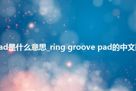 ring groove pad是什么意思_ring groove pad的中文翻译及音标_用法