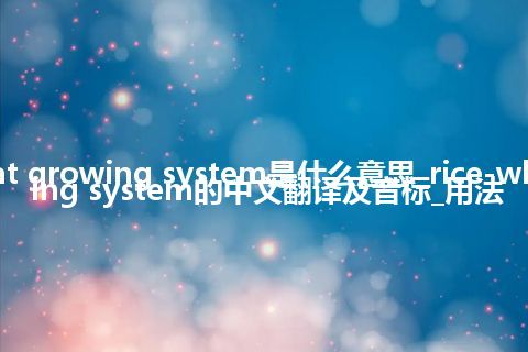 rice-wheat growing system是什么意思_rice-wheat growing system的中文翻译及音标_用法