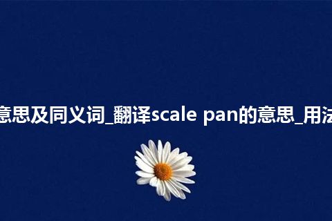 scale pan什么意思及同义词_翻译scale pan的意思_用法_例句_英语短语
