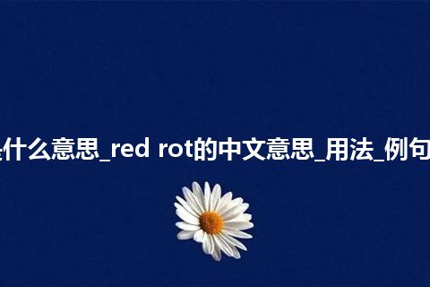 red rot是什么意思_red rot的中文意思_用法_例句_英语短语