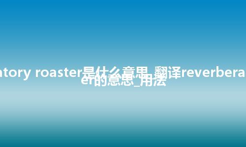 reverberatory roaster是什么意思_翻译reverberatory roaster的意思_用法