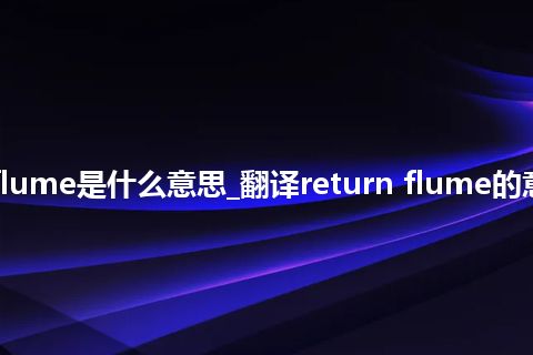 return flume是什么意思_翻译return flume的意思_用法