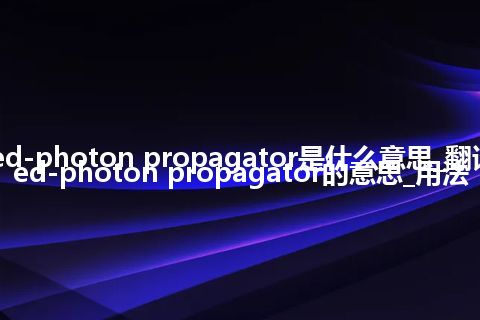 regularized-photon propagator是什么意思_翻译regularized-photon propagator的意思_用法