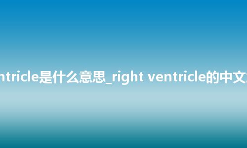 right ventricle是什么意思_right ventricle的中文意思_用法