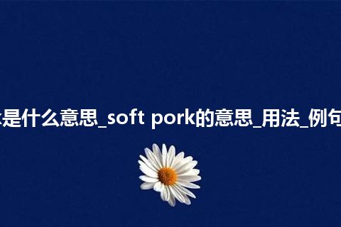soft pork是什么意思_soft pork的意思_用法_例句_英语短语