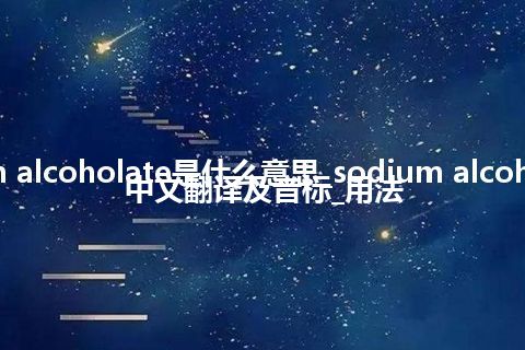 sodium alcoholate是什么意思_sodium alcoholate的中文翻译及音标_用法