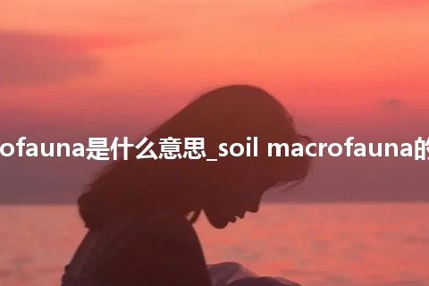 soil macrofauna是什么意思_soil macrofauna的意思_用法