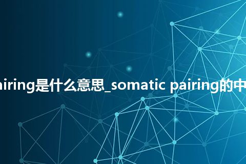 somatic pairing是什么意思_somatic pairing的中文意思_用法