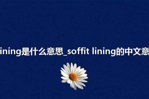 soffit lining是什么意思_soffit lining的中文意思_用法
