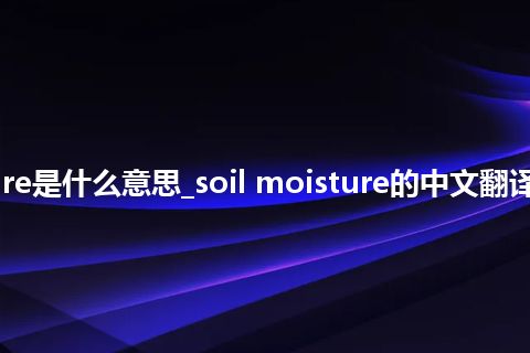 soil moisture是什么意思_soil moisture的中文翻译及用法_用法