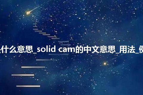 solid cam是什么意思_solid cam的中文意思_用法_例句_英语短语