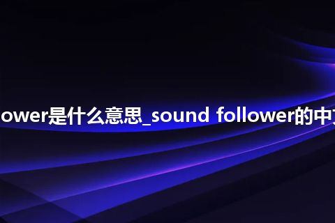 sound follower是什么意思_sound follower的中文解释_用法