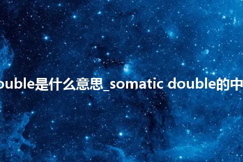 somatic double是什么意思_somatic double的中文释义_用法