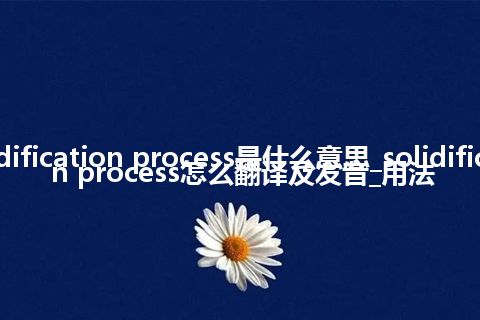 solidification process是什么意思_solidification process怎么翻译及发音_用法