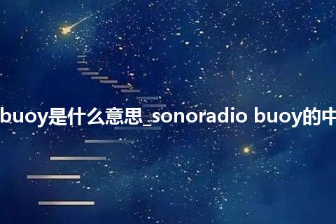 sonoradio buoy是什么意思_sonoradio buoy的中文意思_用法