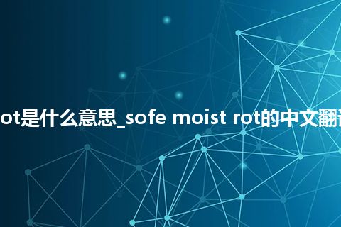 sofe moist rot是什么意思_sofe moist rot的中文翻译及音标_用法