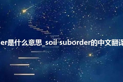 soil suborder是什么意思_soil suborder的中文翻译及用法_用法
