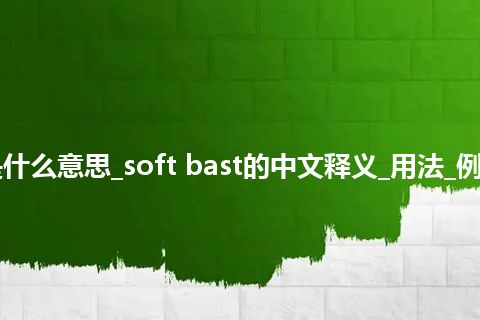 soft bast是什么意思_soft bast的中文释义_用法_例句_英语短语