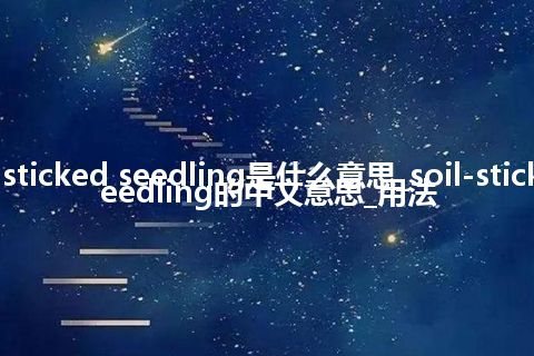 soil-sticked seedling是什么意思_soil-sticked seedling的中文意思_用法