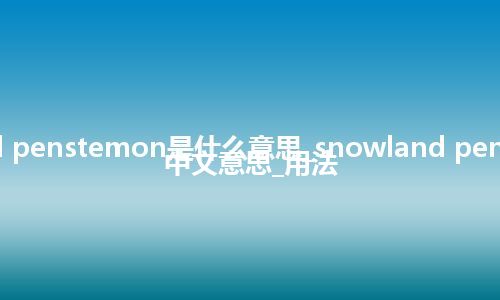 snowland penstemon是什么意思_snowland penstemon的中文意思_用法