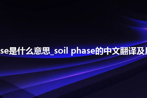 soil phase是什么意思_soil phase的中文翻译及用法_用法