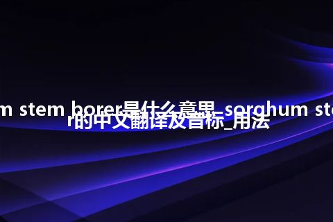 sorghum stem borer是什么意思_sorghum stem borer的中文翻译及音标_用法