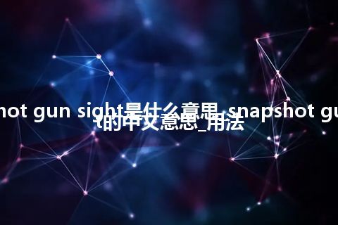 snapshot gun sight是什么意思_snapshot gun sight的中文意思_用法