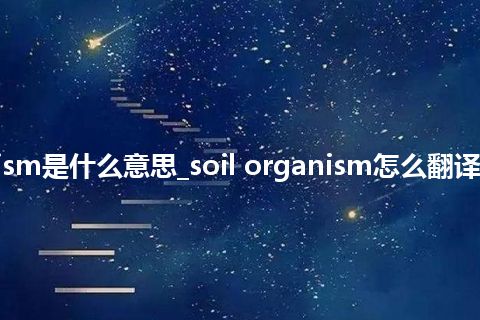 soil organism是什么意思_soil organism怎么翻译及发音_用法