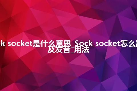 Sock socket是什么意思_Sock socket怎么翻译及发音_用法